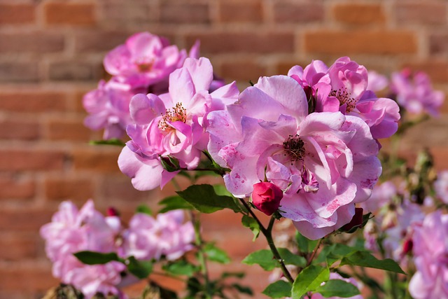 In Memory of&nbsp;Mom