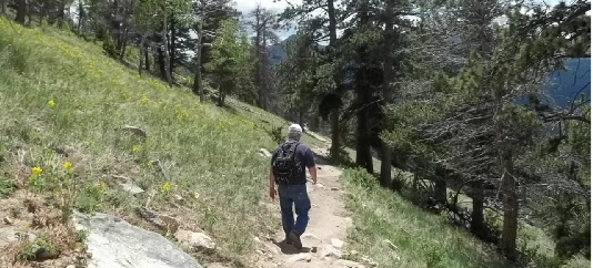 Gord Alton Blog photo