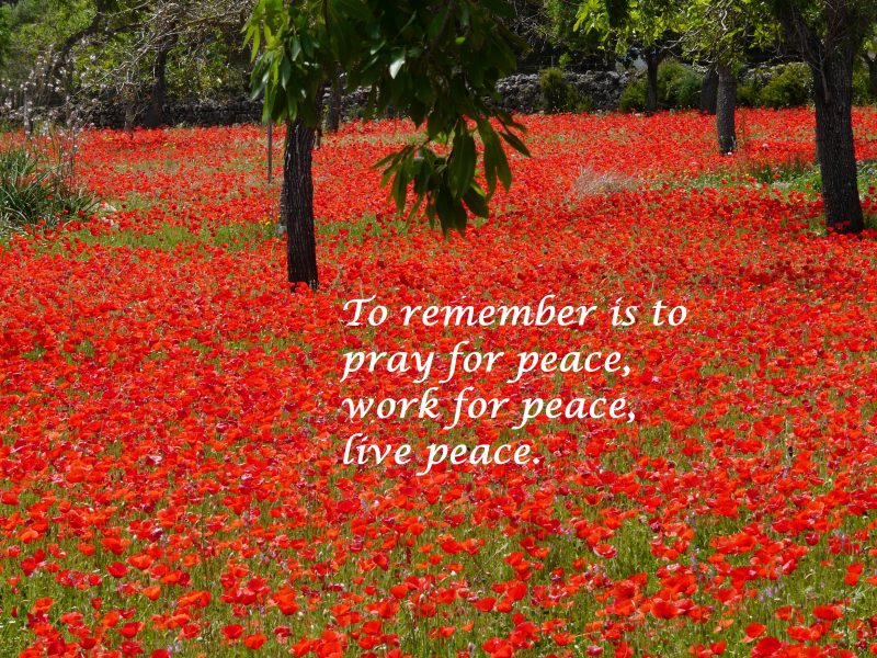 For Remembrance Day