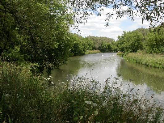 Conestogo River near St. Jacobs, Ontario---walking along its banks plunges me into the river of life. Photo © Samuel J. Steiner, 2013 