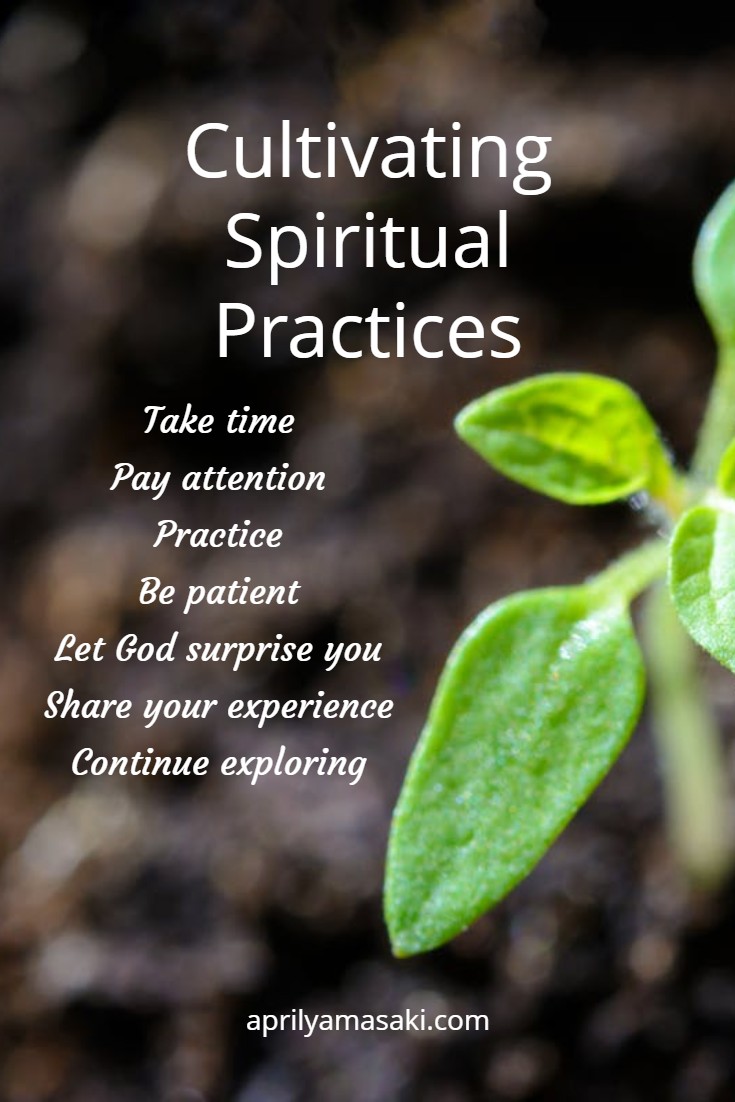 Cultivating Spiritual Practices