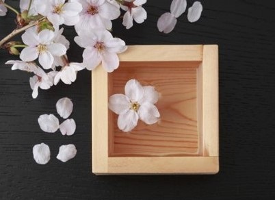 Warrior in Pink: A Story of Cancer, Community, and the God Who&nbsp;Comforts