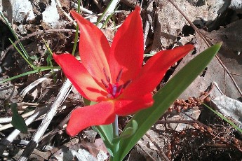 So how does it feel, now that you’re an&nbsp;orphan?