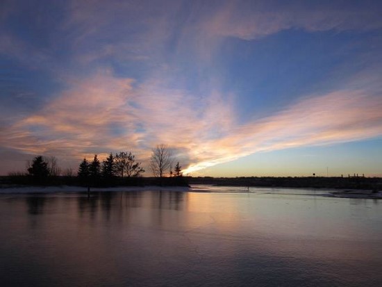 Lois_Siemens_December2015 (550x413)