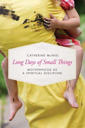 Long Days of Small Things book cover