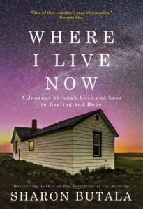 Where I Live Now book cover