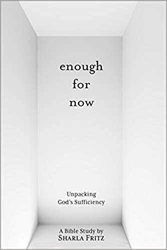 Enough for Now book cover