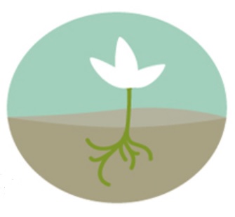 Asian American Women on&nbsp;Leadership