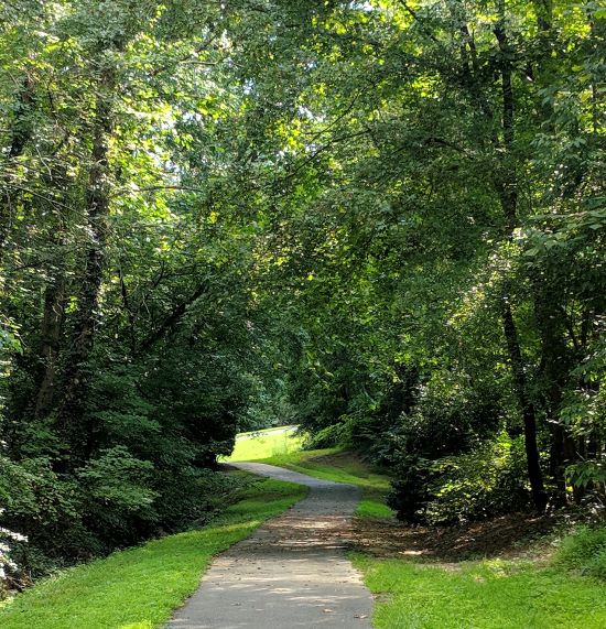 From Expectation to Delighted&nbsp;Expectancy