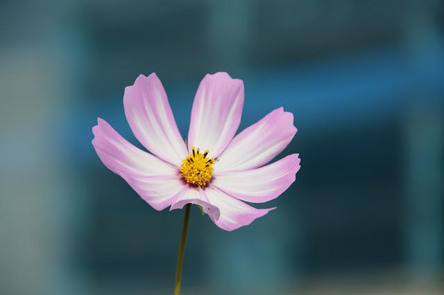 What Simplicity Means to Me&nbsp;Today