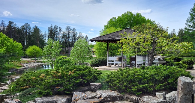 For You Are With&nbsp;Me