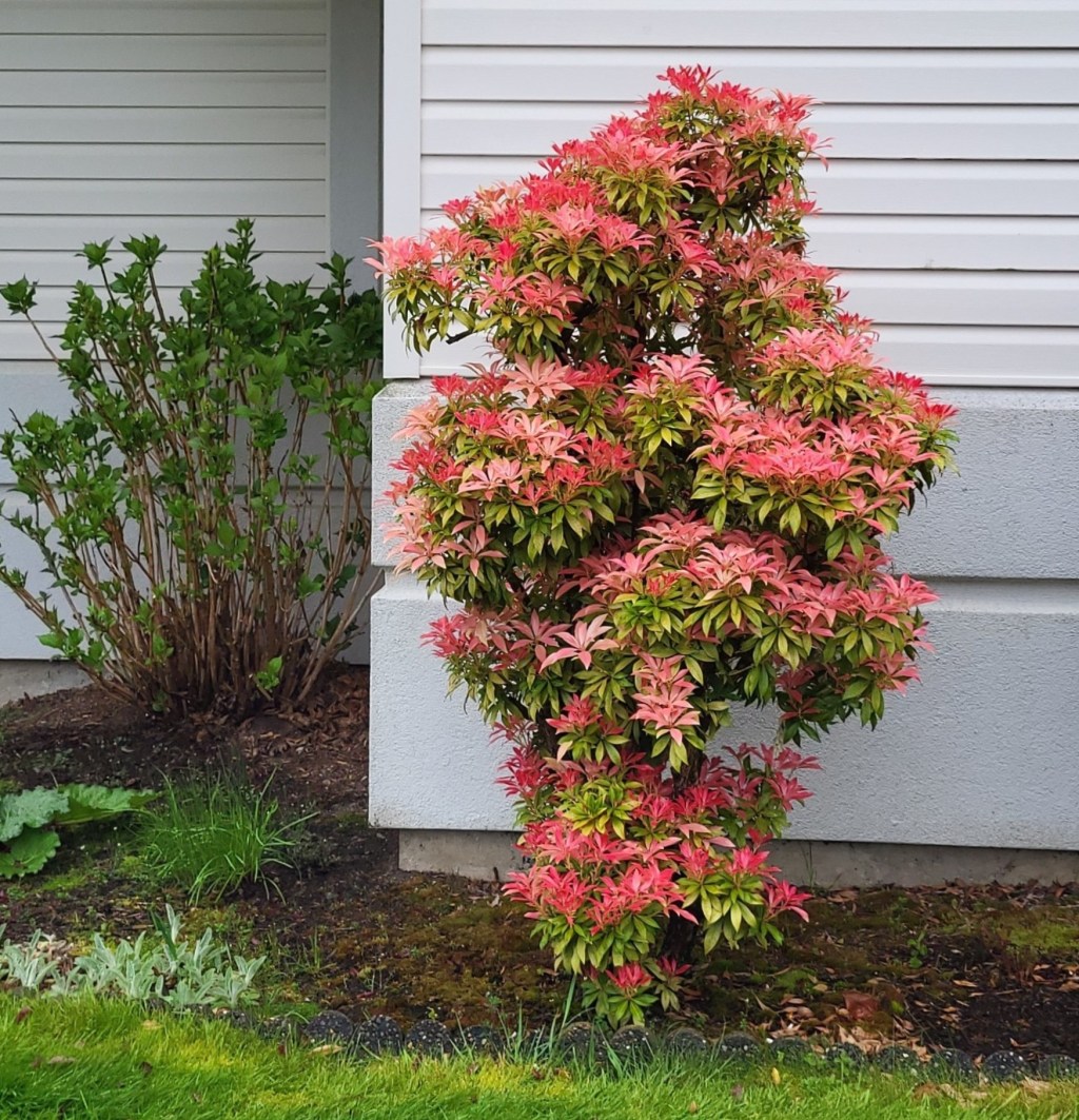 God’s Patient Work&nbsp;Continues